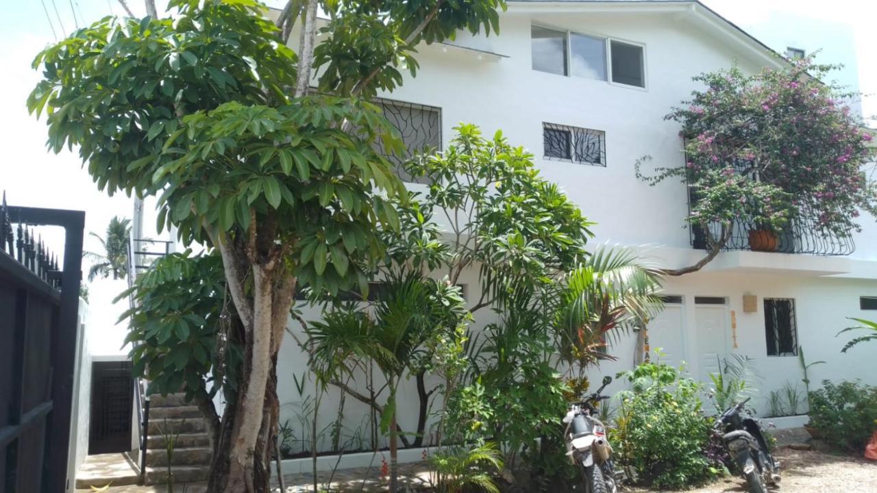 New Moringa Appartement Las Terrenas Buitenkant foto