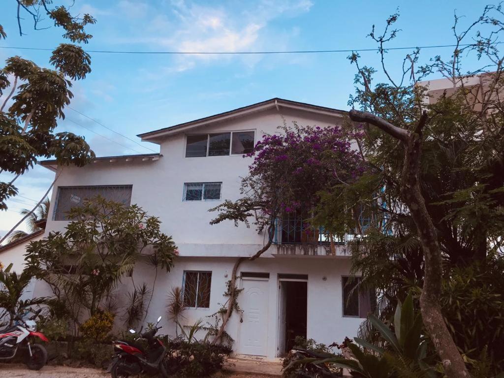 New Moringa Appartement Las Terrenas Buitenkant foto