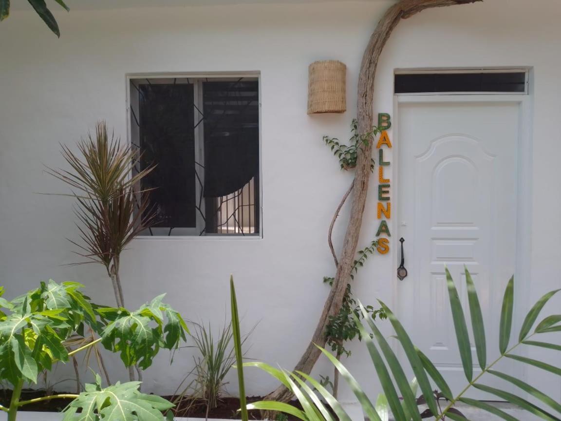 New Moringa Appartement Las Terrenas Buitenkant foto