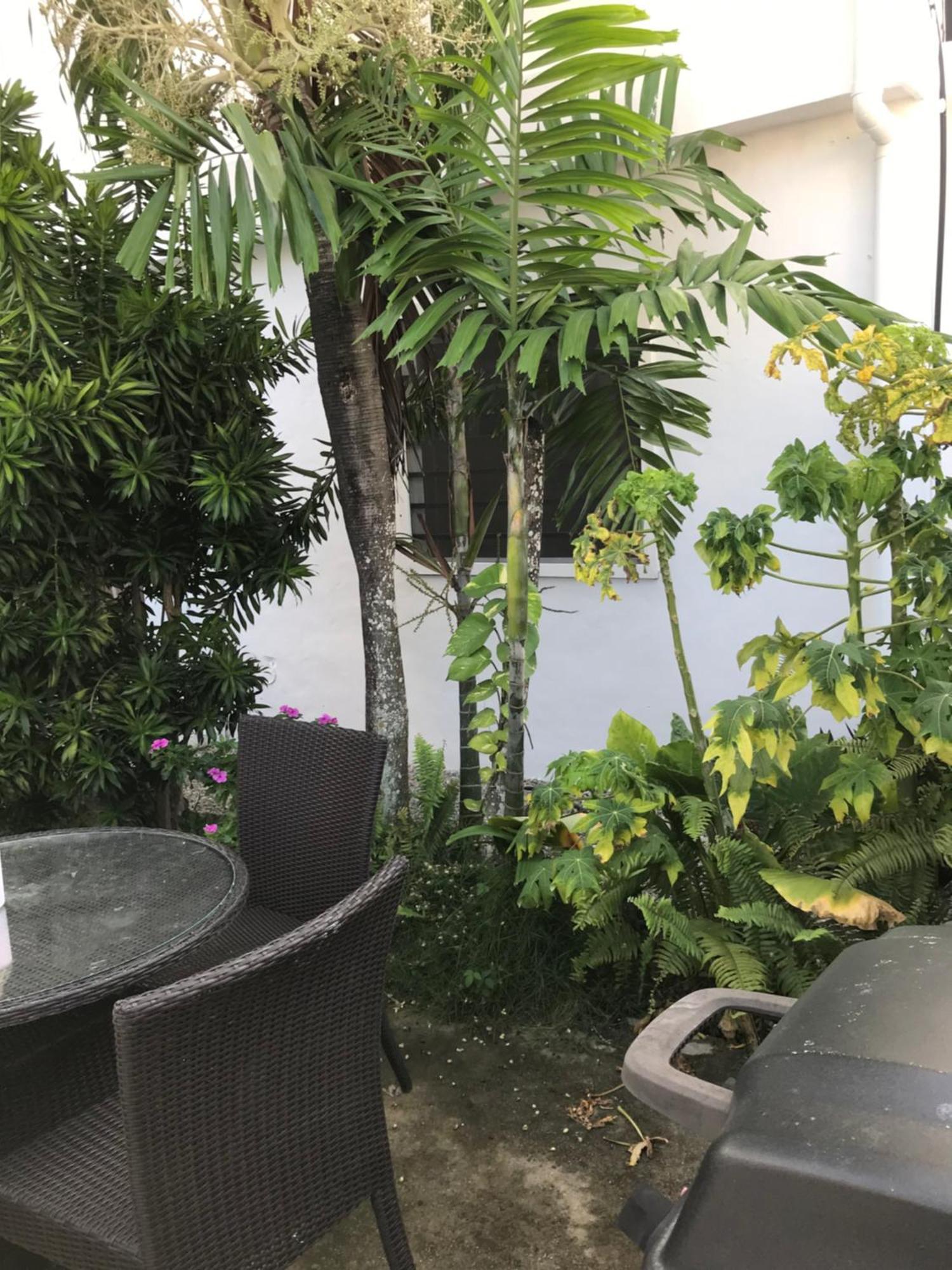 New Moringa Appartement Las Terrenas Buitenkant foto