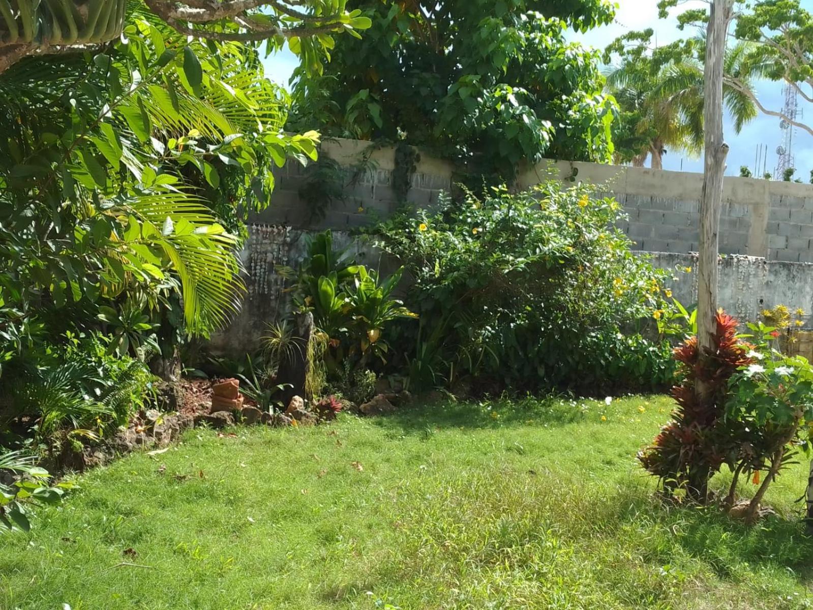New Moringa Appartement Las Terrenas Buitenkant foto