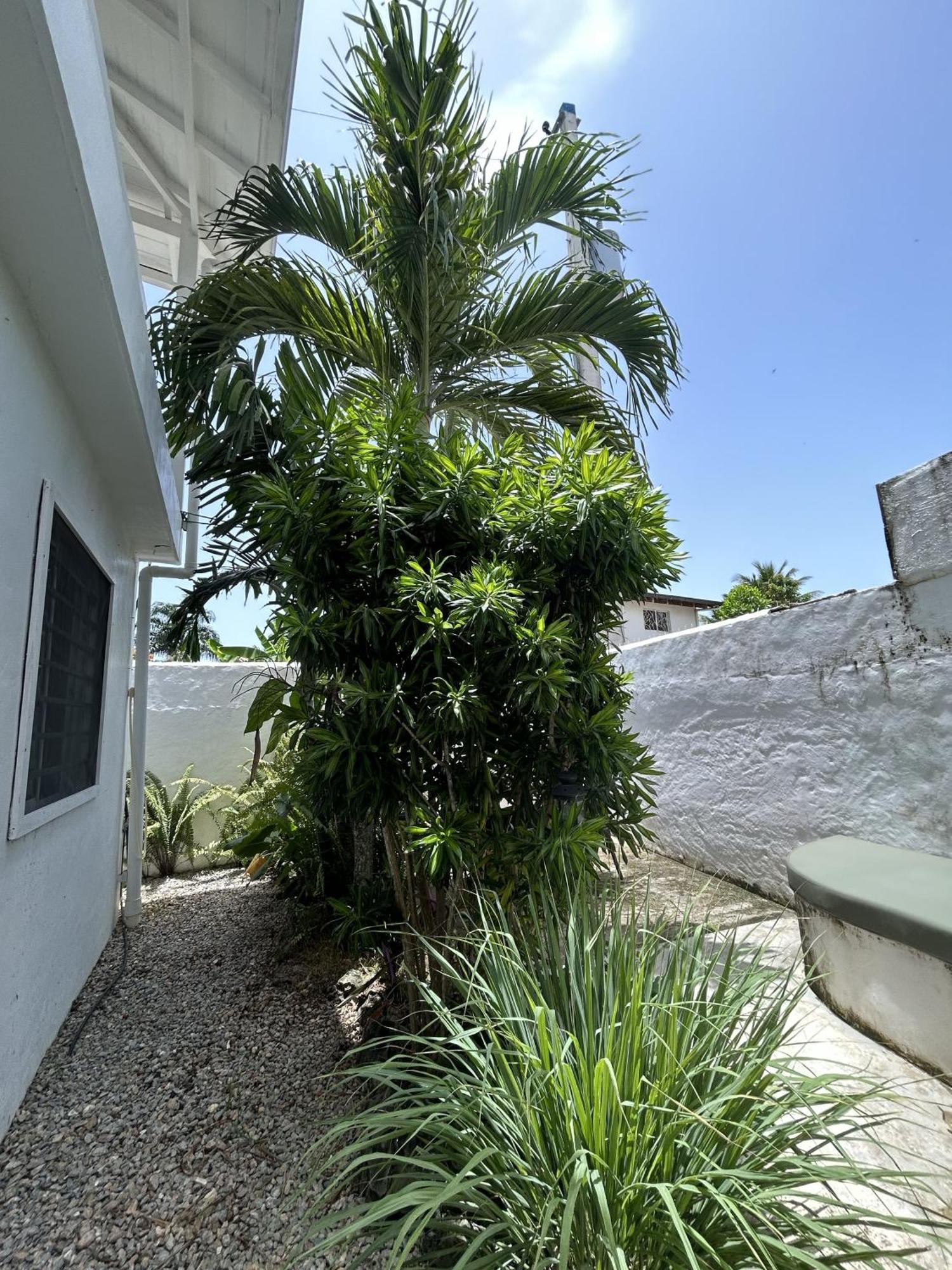 New Moringa Appartement Las Terrenas Buitenkant foto